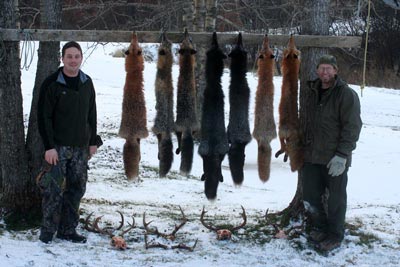 Fox hunting, Kodiak hunting and fishing charters